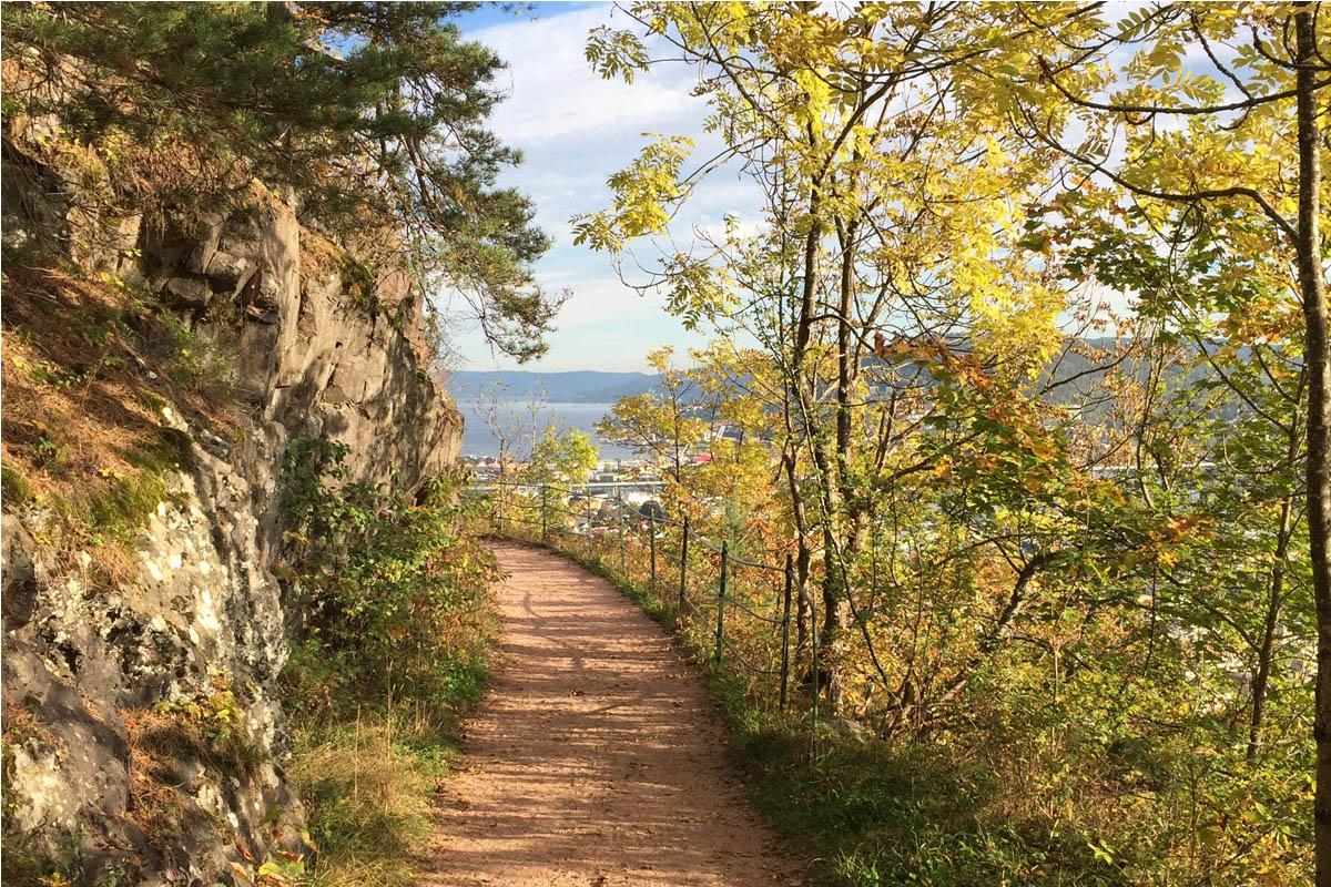 Frisklivsmarsjen 2019 - gå for glede og helse